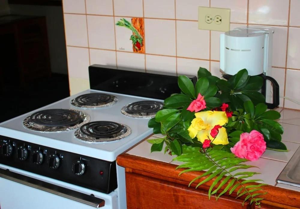 Hotel Ecological Inn Сан-Хосе Экстерьер фото