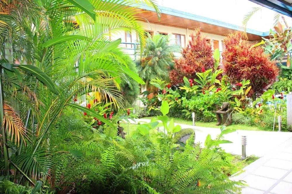 Hotel Ecological Inn Сан-Хосе Экстерьер фото