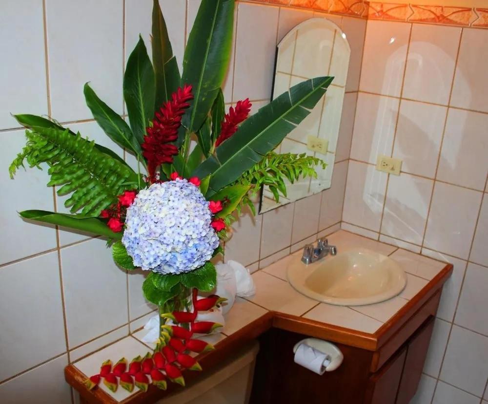 Hotel Ecological Inn Сан-Хосе Экстерьер фото